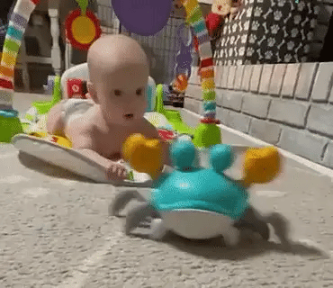 Playbino KruipKrab – Kruipende krab voor tummy time - Stimuleert kruipen